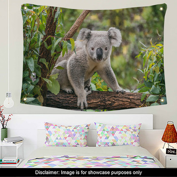 Koala Wall Decor in Canvas, Murals, Tapestries, Posters & More