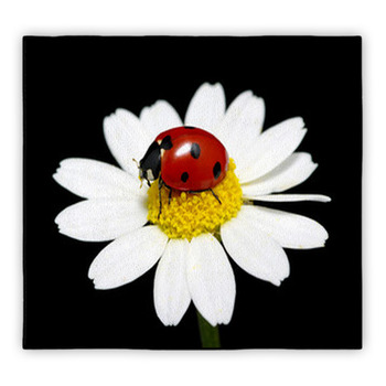 Ladybug Area Rugs Custom Size Floor Mats