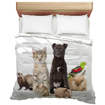 Ferret Comforters, Duvets, Sheets & Sets | Personalized