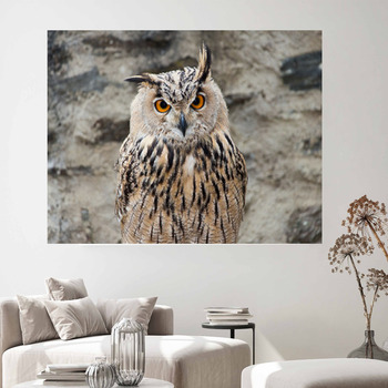 Owl Wall Decor in Canvas, Murals, Tapestries, Posters & More