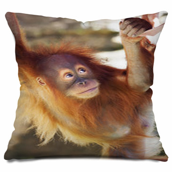 orangutan pillow