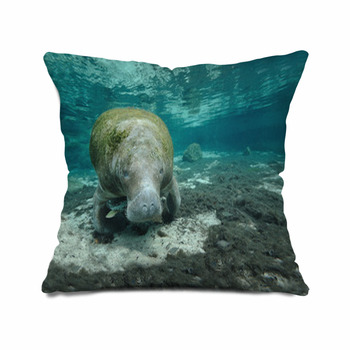 manatee body pillow