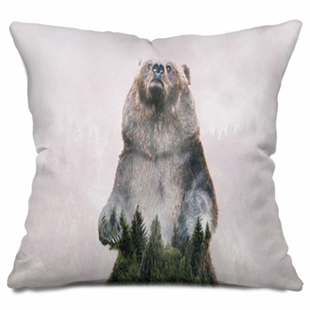 Bear Throw Pillows, Cases