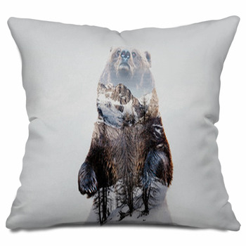 Bear Throw Pillows, Cases