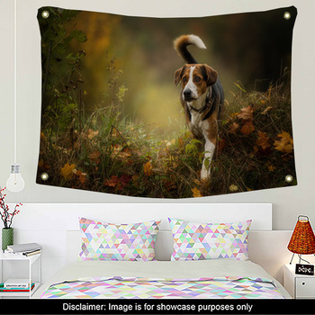 Dog Wall Decor in Canvas, Murals, Tapestries, Posters & More