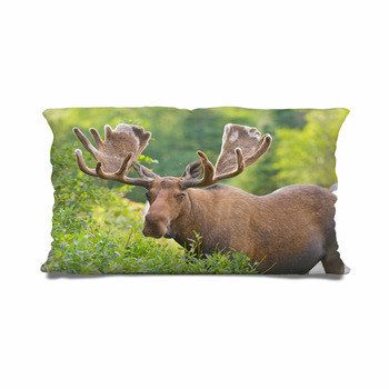 Moose body pillow best sale