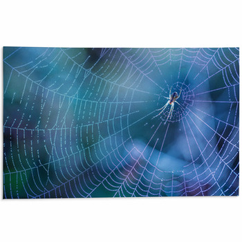 https://www.visionbedding.com/images/theme/morning-drops-of-dew-in-a-spider-web-cobweb-in-dew-drops-beautiful-colors-in-macro-nature-area-rug-176857215.jpg