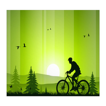 Bicycle Wall Decor Murals Tapestry Posters Custom Sizes