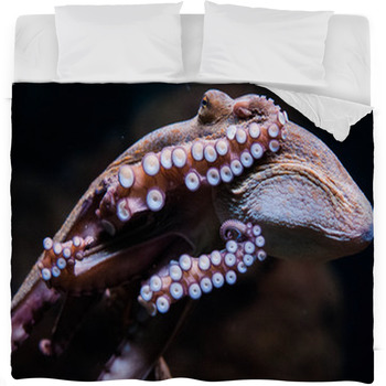 Octopus Comforters, Duvets, Sheets & Sets | Custom