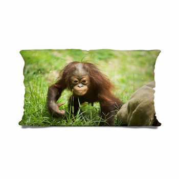 orangutan body pillow