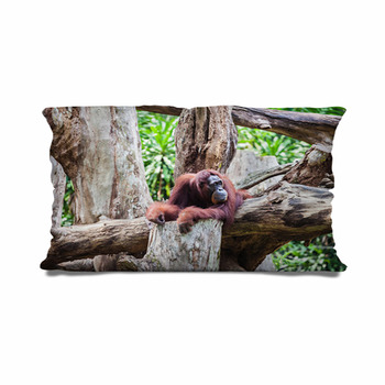 orangutan pillow