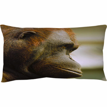 orangutan pillow