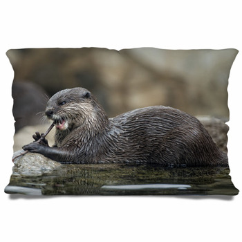 otter pillow case