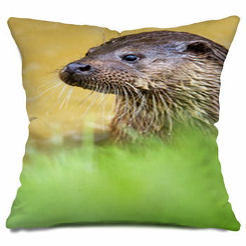 otter pillow