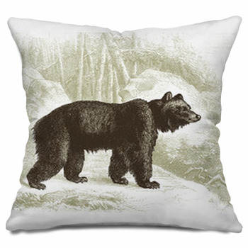 Bear Throw Pillows, Cases, & Shams