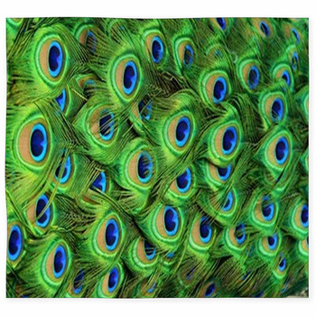 1pc Printed 3d Peacock, Cat, Peacock Feather Felt Floor Mat