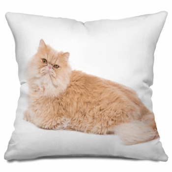Cat Throw Pillows, & Shams