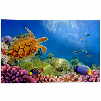 Turtle Area Rugs & Custom Size Floor Mats