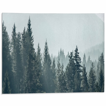  Landscape Rug 3x4 Area Rug Mountain Forest Rugs for