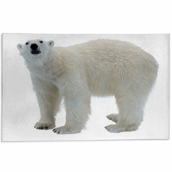 Polar bear Area Rugs & Floor Mats