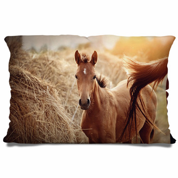 Portrait Of A Red Foal With An Asterisk  Pillow Case/Sham