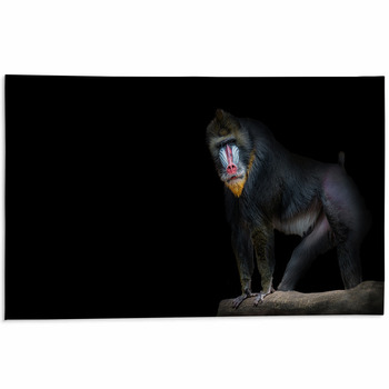 Black monkey – animals area rug carpet