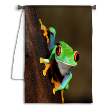 Red eye Frog Agalychnis Callidryas In Terrarium Towel