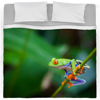 Frog Comforters, Duvets, Sheets & Sets | Custom