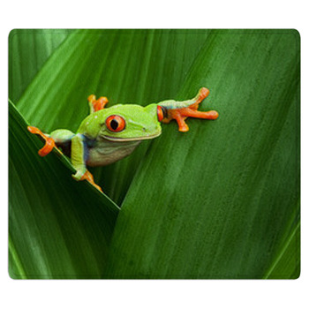 Red Eyed Tree Frog Bath Mat