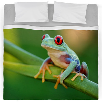 Frog Comforters, Duvets, Sheets & Sets | Custom