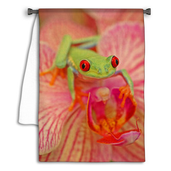 Red eyed Treefrog Agalychnis Callidryas Towel