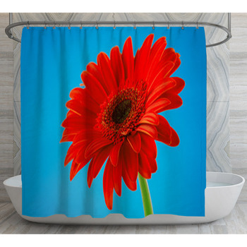 Red Gerbera Daisy Flower Isolated On Blue  Shower Curtain