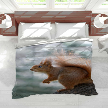 Squirrel bedding online