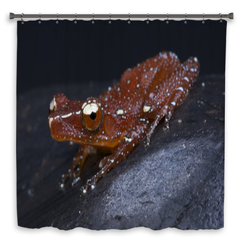 Red Tree Frog / Nyctixalus Pictus Shower Curtain