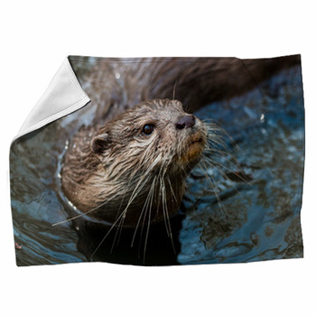 European otter Throw Blanket by Admin_CP66866535