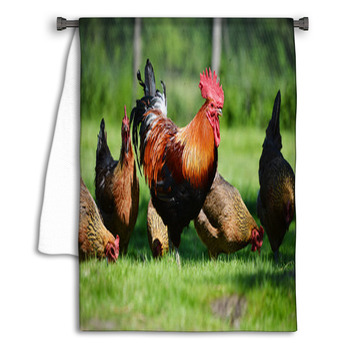 Rooster And Chickens On Traditional Free Range Towel