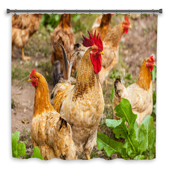 Rooster And Hen In The Village, Rooster Shower Curtain