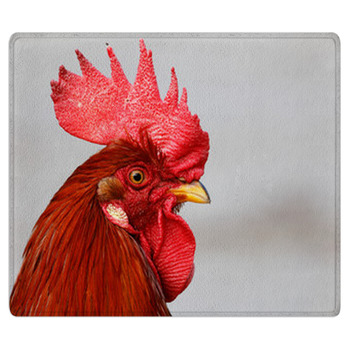 Rooster Bath Mat