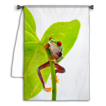 Rotaugenlaubfrosch Towel