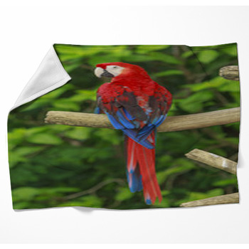 Parrot Blankets | Custom Fleece & Throw Blankets