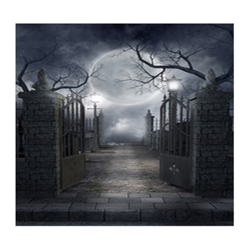 Gothic Wall Decor Murals Tapestry Posters Custom Sizes