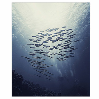 Tapestries Marine Shoal Of Fish Tapestry Wall Hanging Underwater