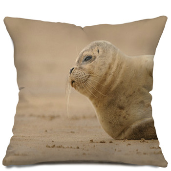 realistic seal pillows