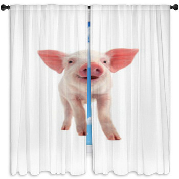 Pig Window Curtains & Drapes | Block Out | Custom Sizes