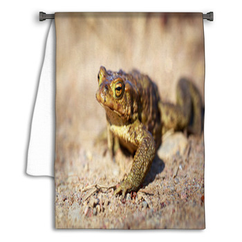 Spring Brown Frog Towel