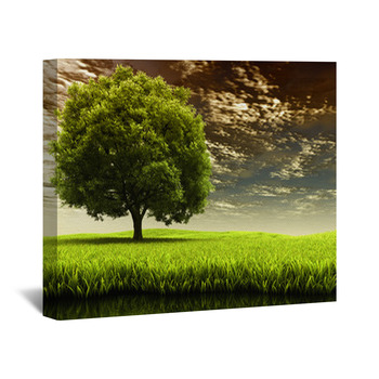 Tree Wall Decor in Canvas, Murals, Tapestries, Posters & More