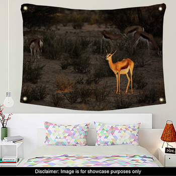 Antelope Wall Decor in Canvas, Murals, Tapestries, Posters & More