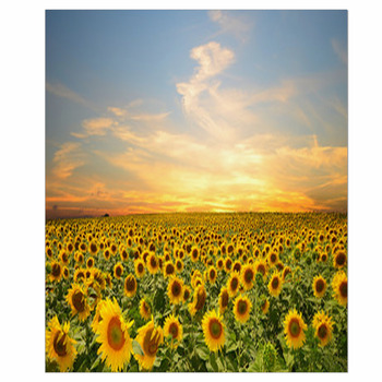Sunset Wall Decor in Canvas, Murals, Tapestries, Posters & More