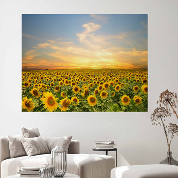 Summer Wall Decor in Canvas, Murals, Tapestries, Posters & More