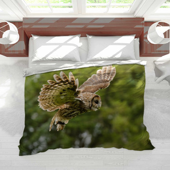 Large Owl Plushie / Choose Between Screech Owl or Barn Owl / Owl